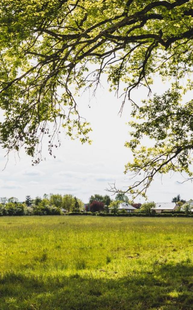 Une promenade à Nostre-Seigne à Onet-le-Château