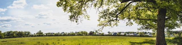 Une promenade à Nostre-Seigne à Onet-le-Château