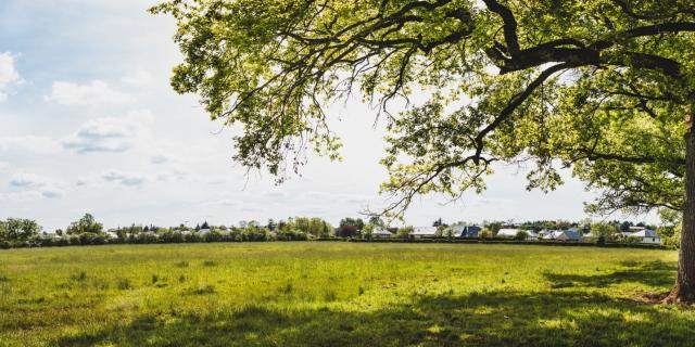 Une promenade à Nostre-Seigne à Onet-le-Château