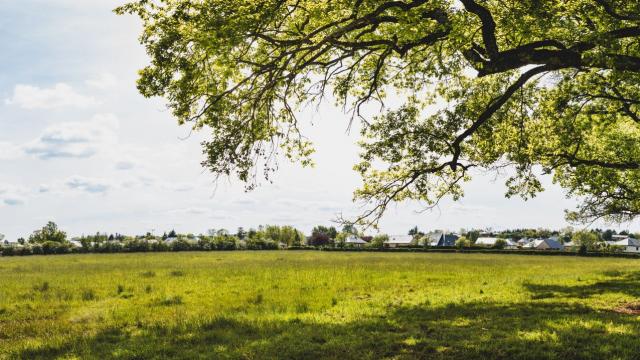 Une promenade à Nostre-Seigne à Onet-le-Château