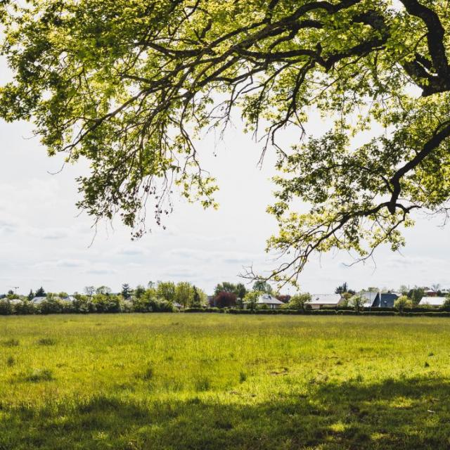 Une promenade à Nostre-Seigne à Onet-le-Château