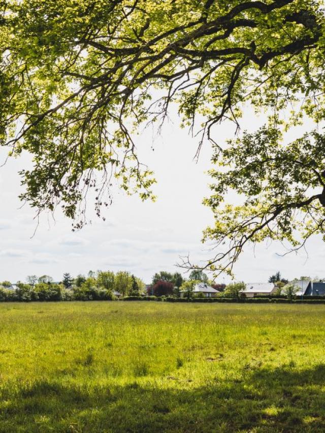 Une promenade à Nostre-Seigne à Onet-le-Château