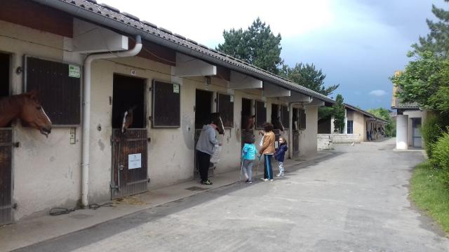 Ecurie du centre équestre de Combelles