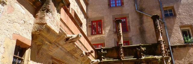 Gargouilles de la cour de la maison de Benoit de Rodez