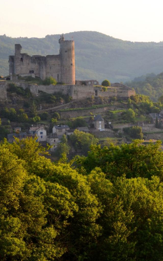 Vue sur la forteresse de Najac