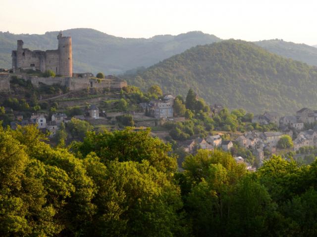 Vue sur la forteresse de Najac et son village avec des maisons alignées sur la crête