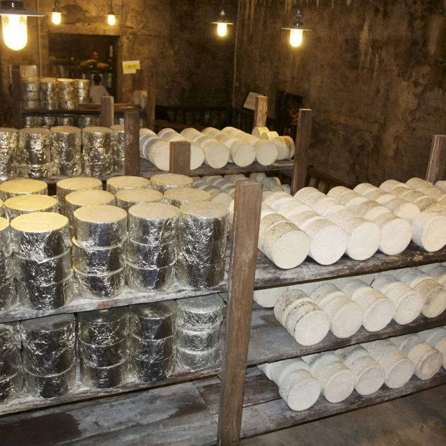 Meules de fromage Roquefort sur des étagères, au cœur des Caves de Roquefort