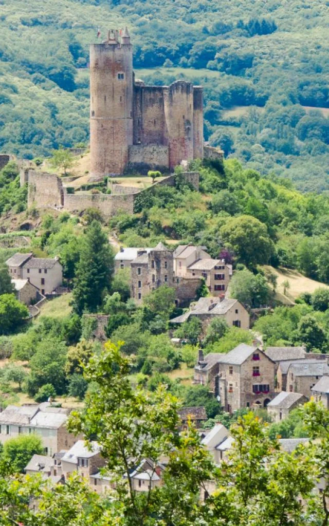 Vue sur le château de Najac