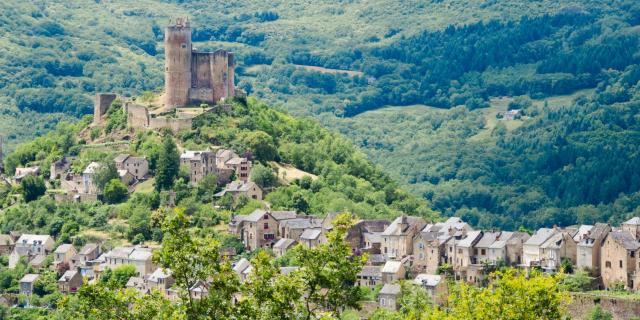 Vue sur le château de Najac