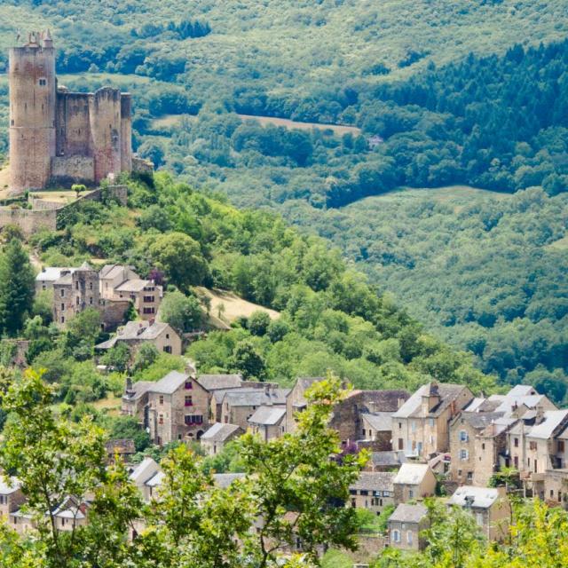 Vue sur le château de Najac