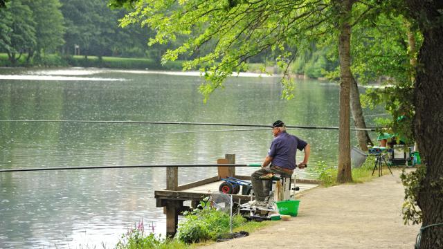 Concours de pêche à Layoule, sur les berges de l'Aveyron