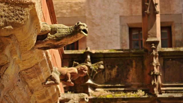 Gargouilles de la maison de Benoit à Rodez