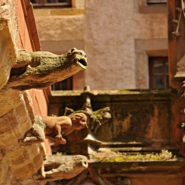 Gargouilles de la maison de Benoit à Rodez