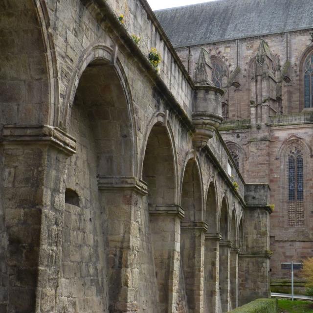 Remparts en pierre autour de l'ancien évêché devant une haie de buis, à côté de la cathédrale