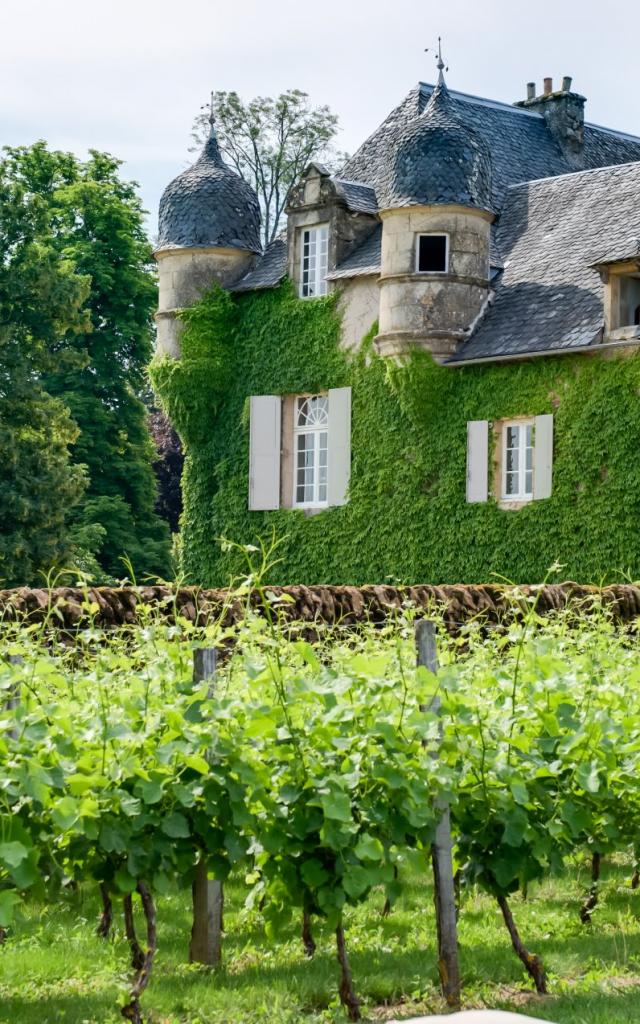 Le Château de Labro et ses vignes