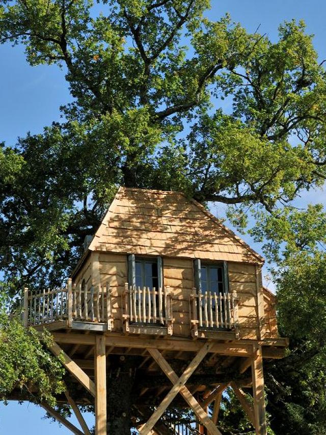 Cabane dans les arbres du Château de Labro