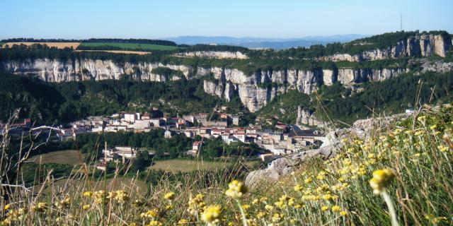 Vue du village de Roquefort sur Soulzon