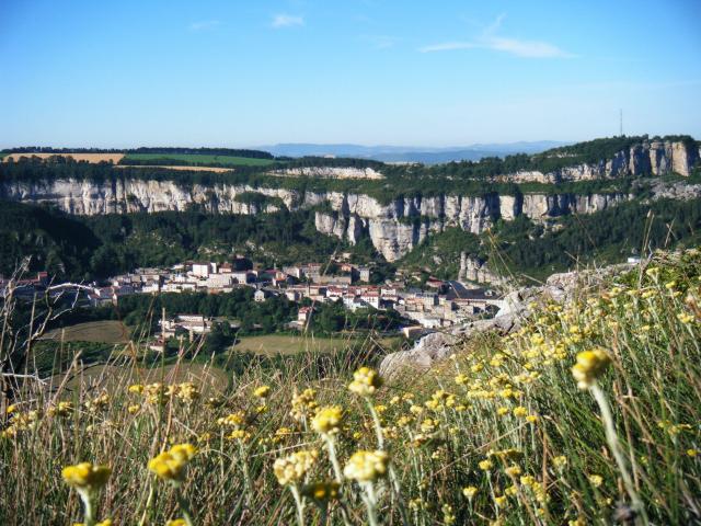 Vue du village de Roquefort sur Soulzon