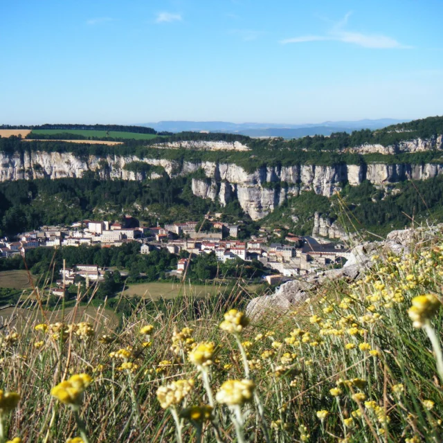 Vue en hauteur du village de Roquefort sur Soulzon au pied de la falaise