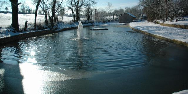 Etang des Igues à Sébazac-Concourès