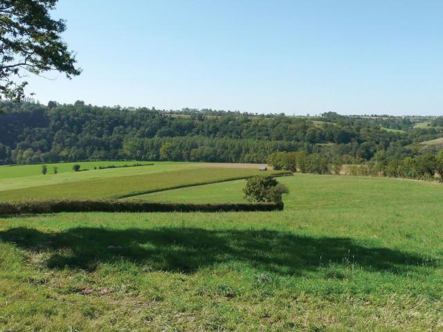 Vue sur la nature à Olemps