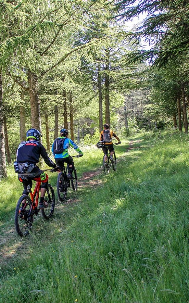 Randonnée VTT en forêt