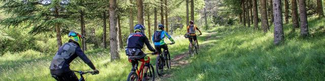 Randonnée VTT en forêt