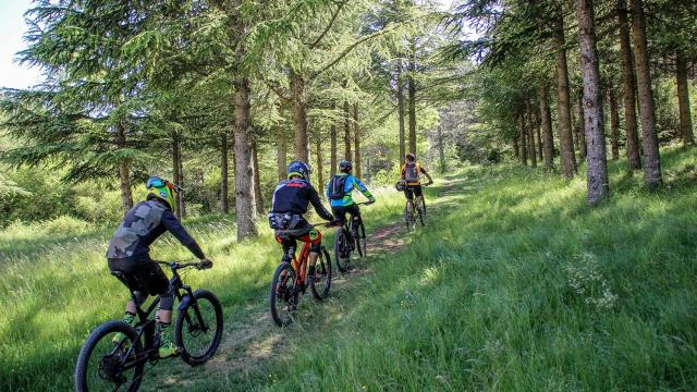 Randonnée VTT en forêt