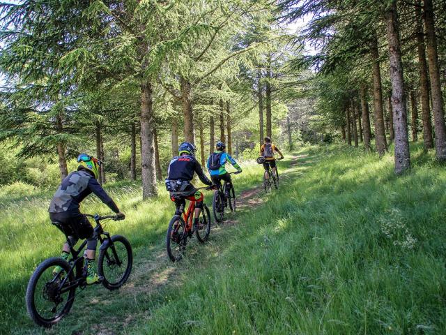 Randonnée VTT en forêt