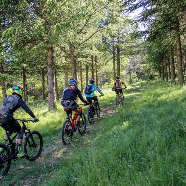 Randonnée VTT en forêt