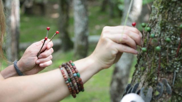 Cueillette sauvage avec Besoin de nature