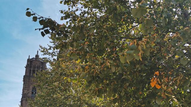 Le clocher à l'arrivée de l'automne