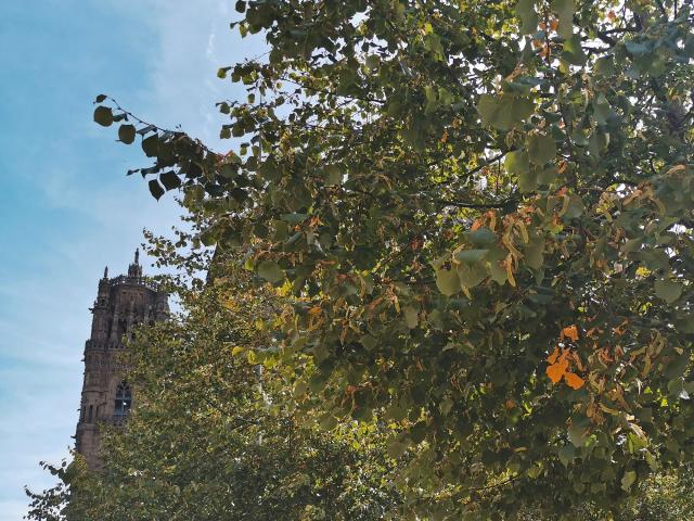 Le clocher à l'arrivée de l'automne