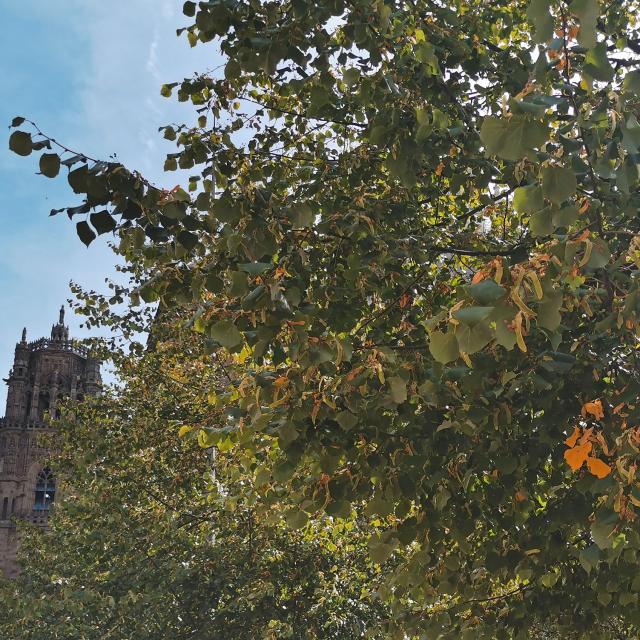 Le clocher à l'arrivée de l'automne