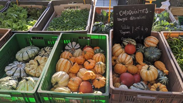 Etal du marché à l'automne