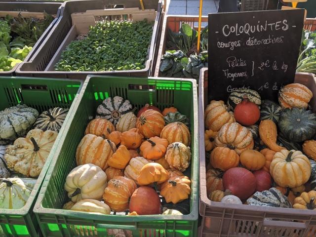 Etal du marché à l'automne