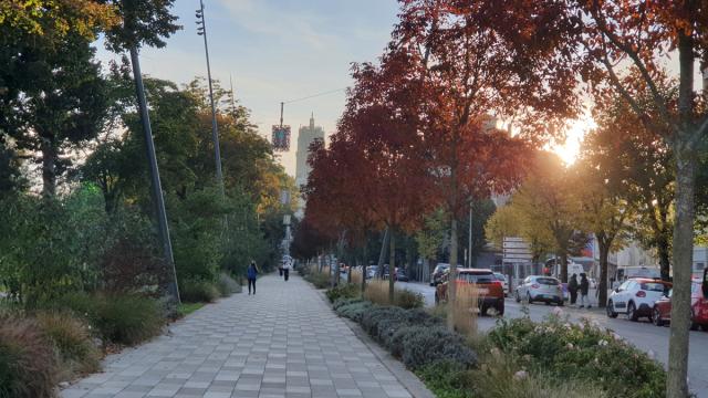 L'Avenue Victor-Hugo en automne