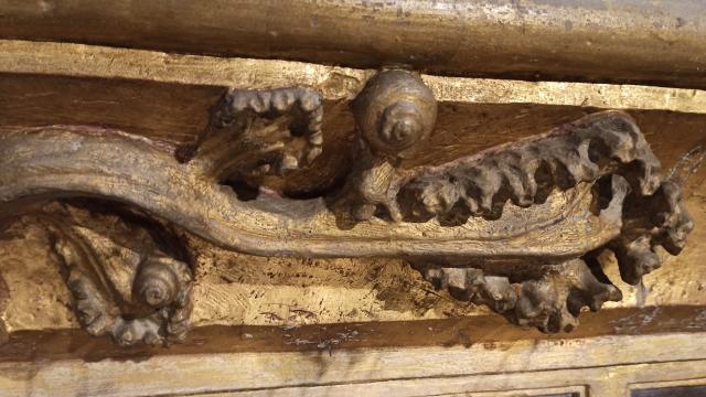 Escargots sculptés dans la cathédrale de Rodez