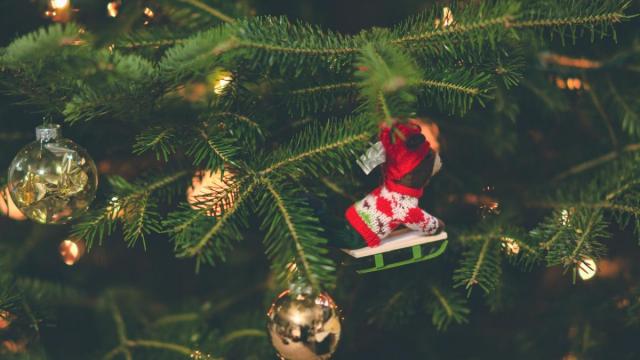 Boules de Noël accrochées aux branches d'un sapin, ainsi qu'une figurine animalière sur une luge