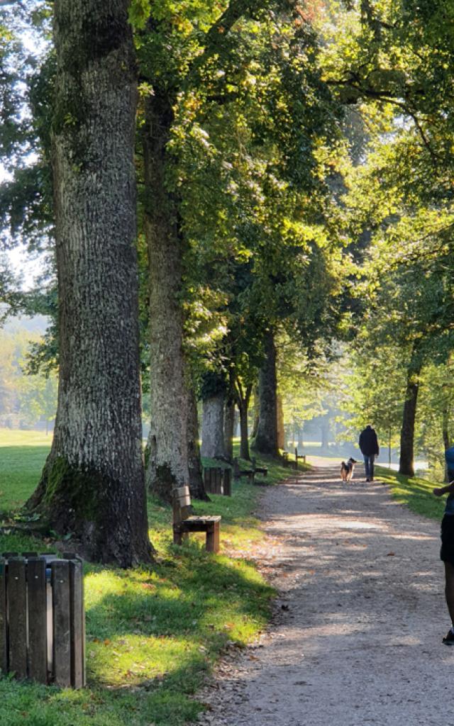 Joggeur et promeneur avec un chien sur le chemin caillouteux piétonnier en bordure de rivière, longeant les arbres et les bancs