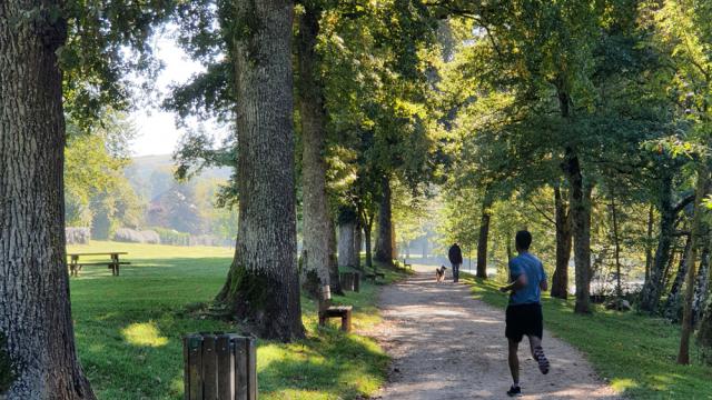 Joggeur et promeneur avec un chien sur le chemin caillouteux piétonnier en bordure de rivière, longeant les arbres et les bancs