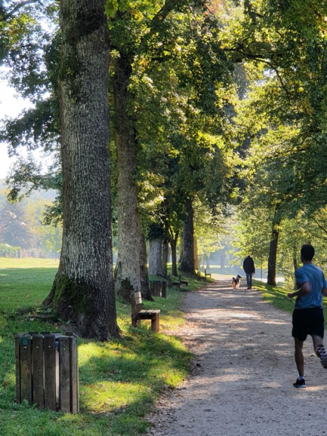 Joggeur à Layoule