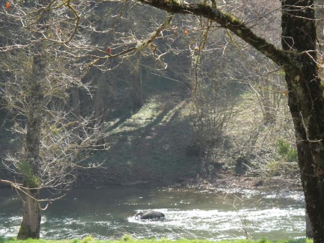 Toizac, commune d'Olemps