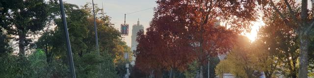 Personnes marchant sur l'allée piétonne entre les arbres aux couleurs automnales, face à la cathédrale, au soleil couchant