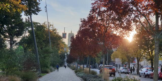 Avenue Victor Hugo