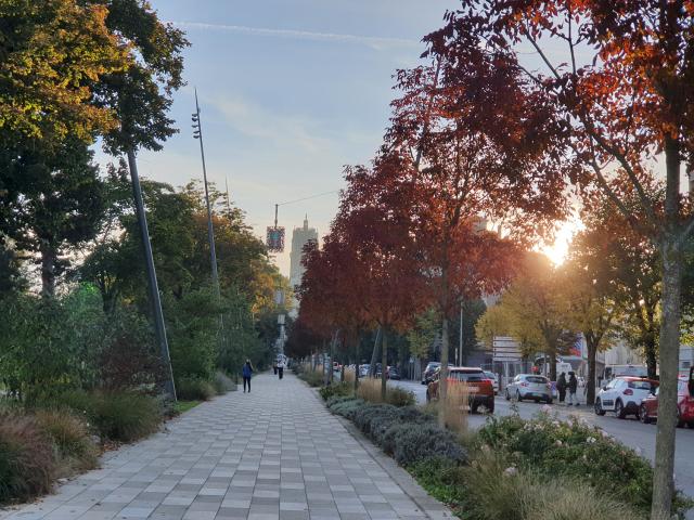 Personnes marchant sur l'allée piétonne entre les arbres aux couleurs automnales, face à la cathédrale, au soleil couchant