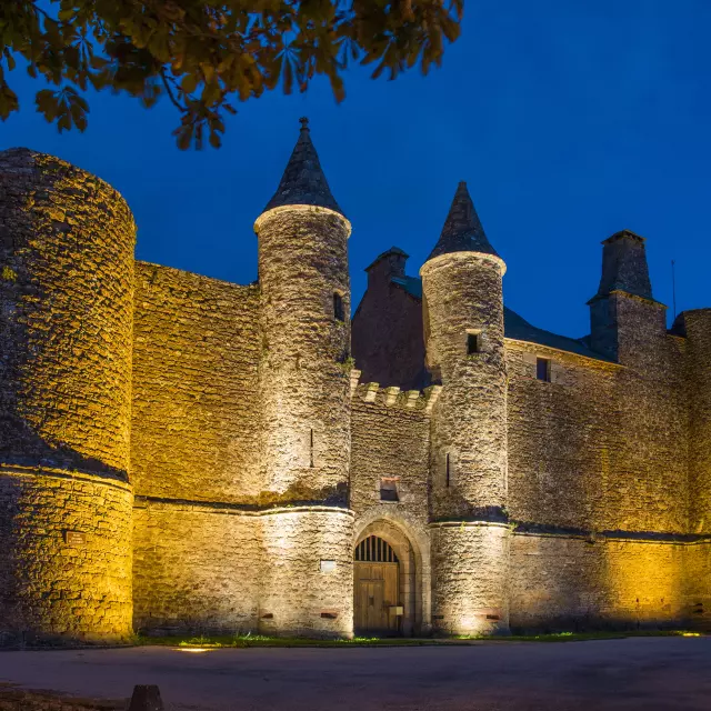 Château d'Onet, vu de nuit