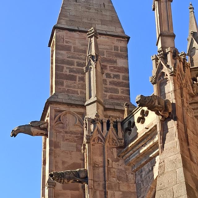 Gargouilles - chevet de la cathédrale