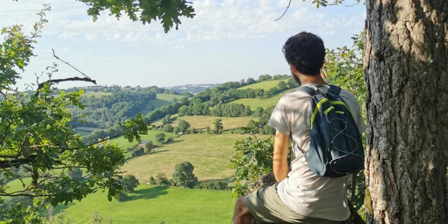 Vue depuis le bois