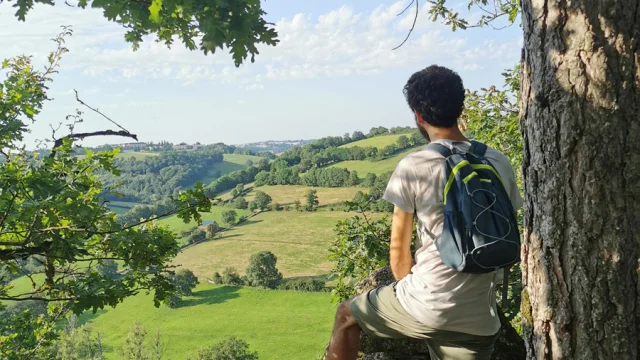 Vue depuis le bois